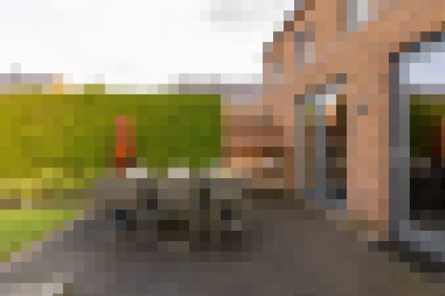 Tripklompen 10 Zuidwolde thumbnail 48