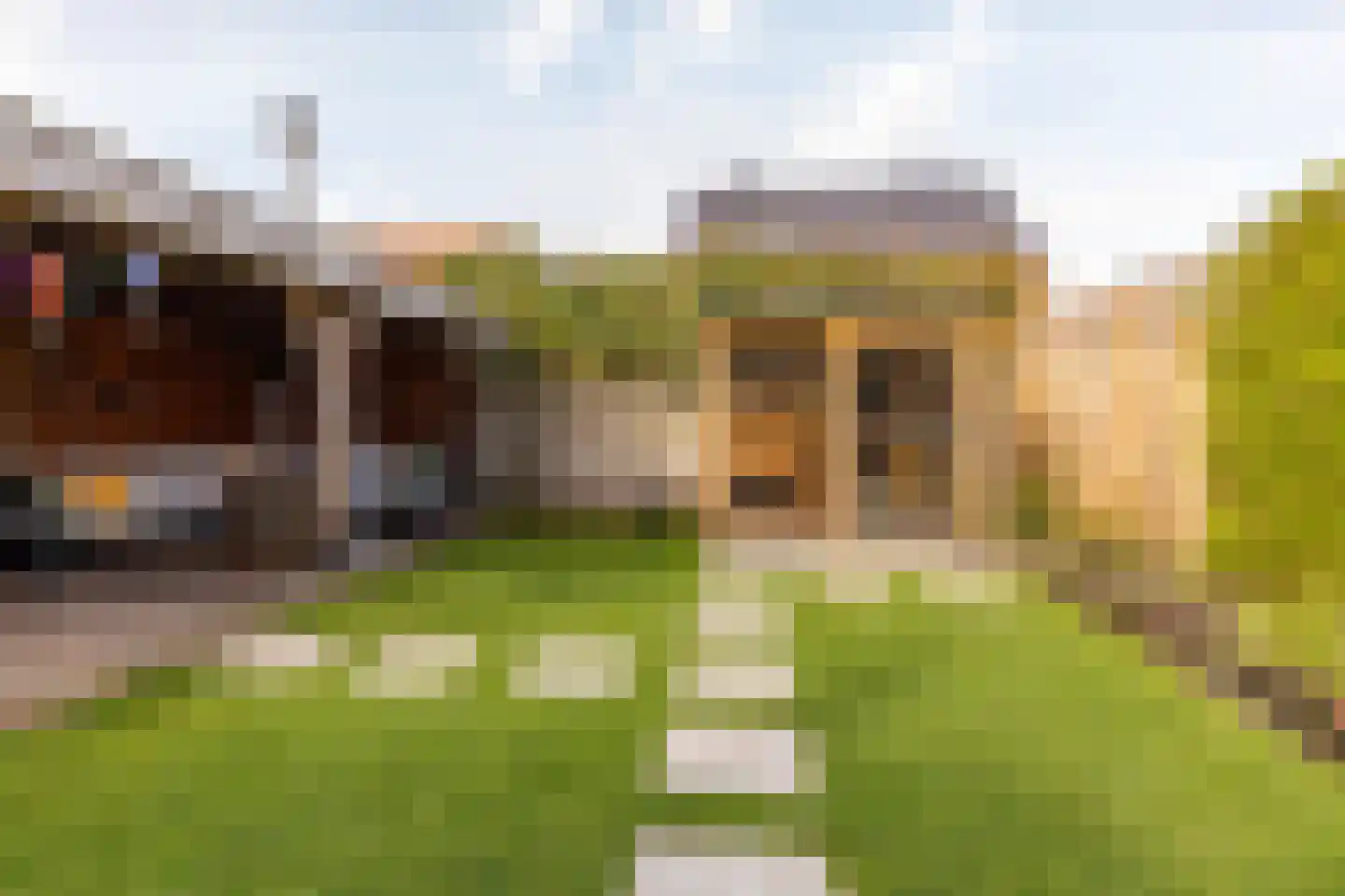 Tripklompen 10 Zuidwolde thumbnail 49