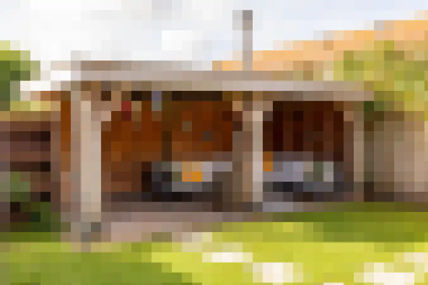 Tripklompen 10 Zuidwolde thumbnail 50