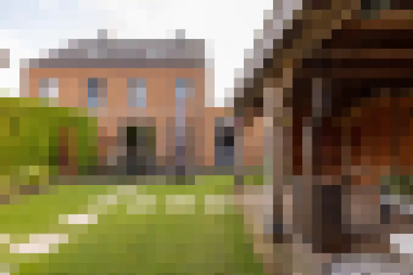 Tripklompen 10 Zuidwolde thumbnail 51