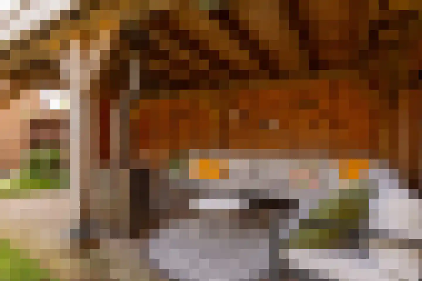 Tripklompen 10 Zuidwolde thumbnail 52