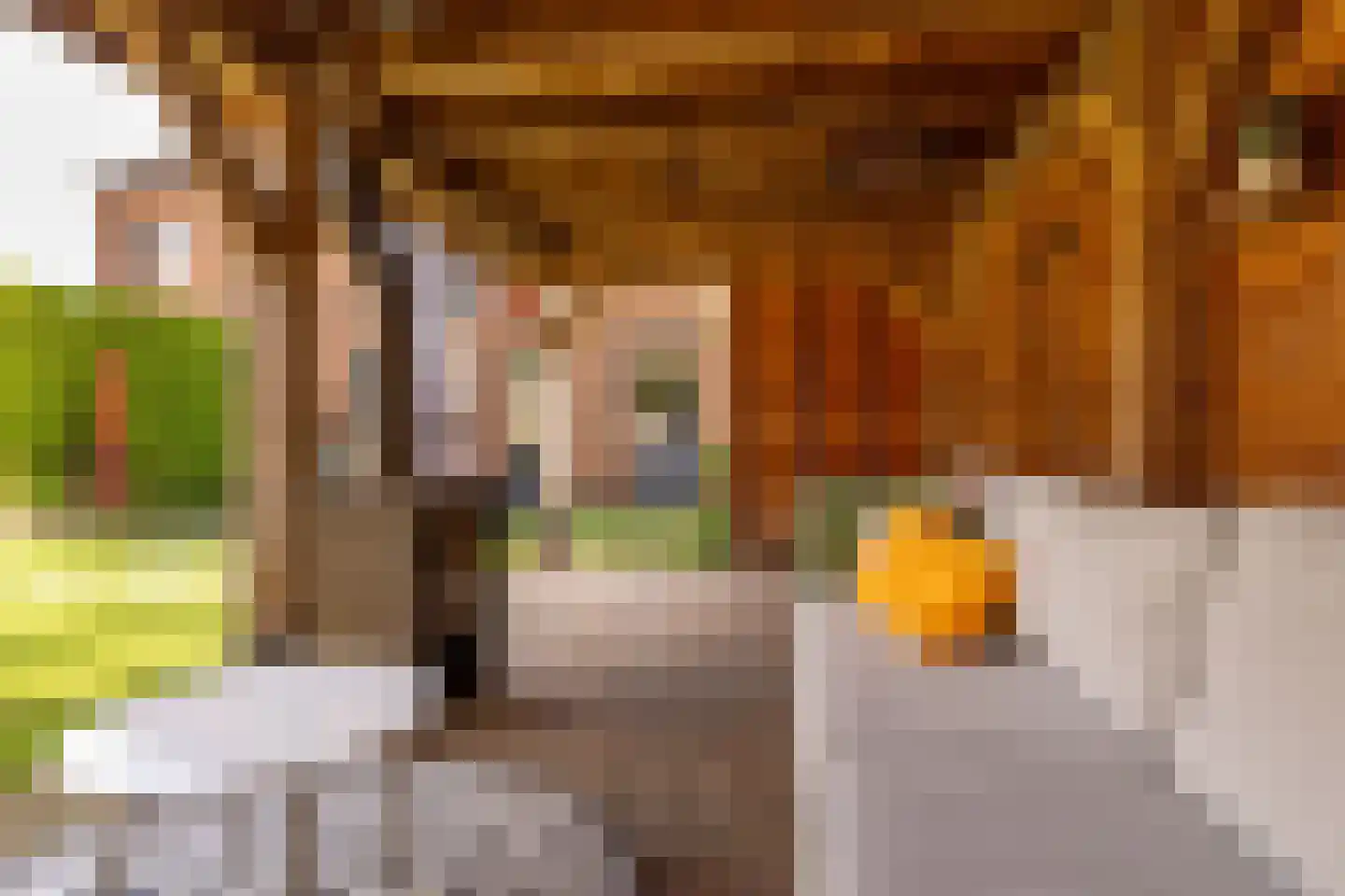 Tripklompen 10 Zuidwolde thumbnail 53