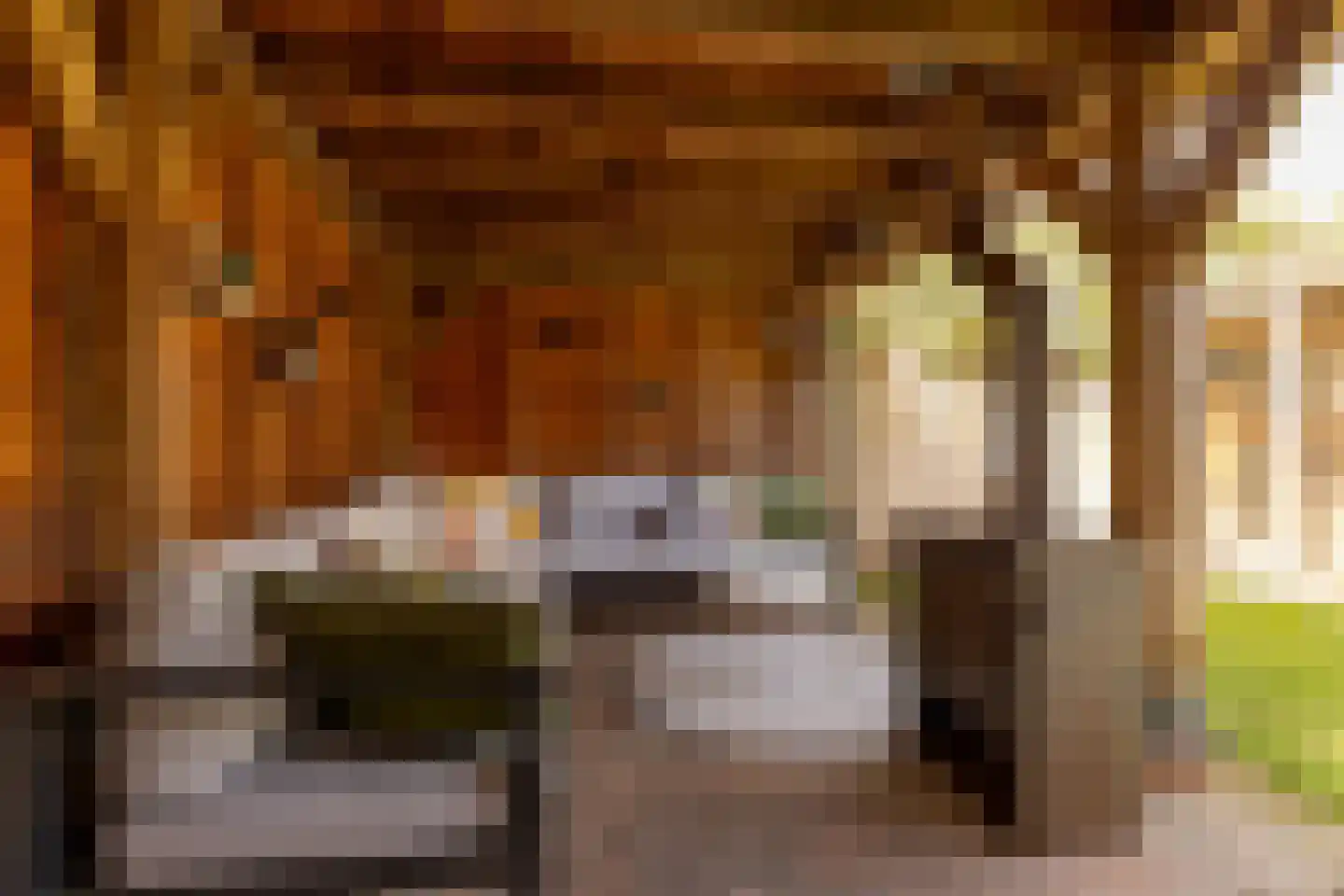 Tripklompen 10 Zuidwolde thumbnail 54