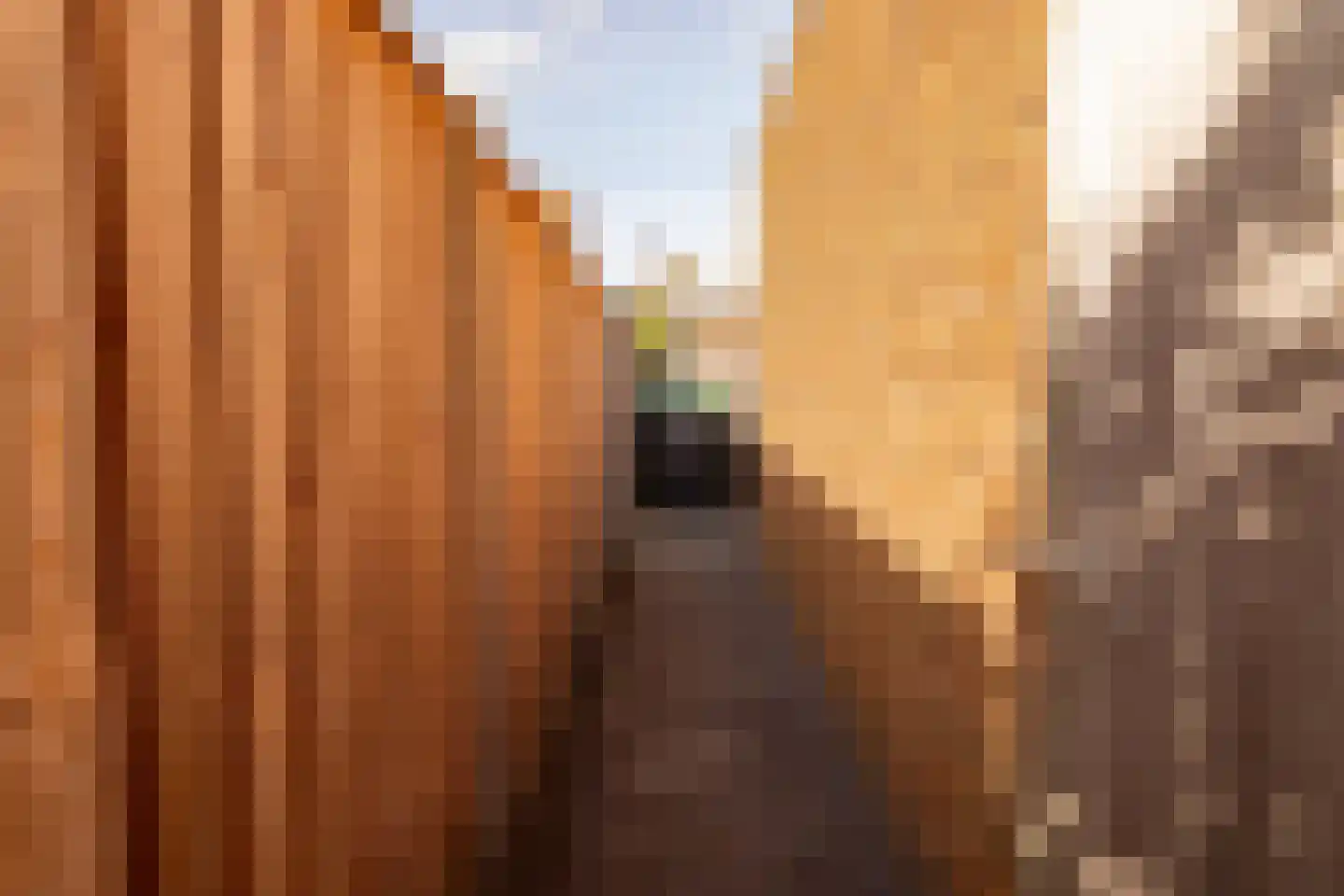 Tripklompen 10 Zuidwolde thumbnail 56