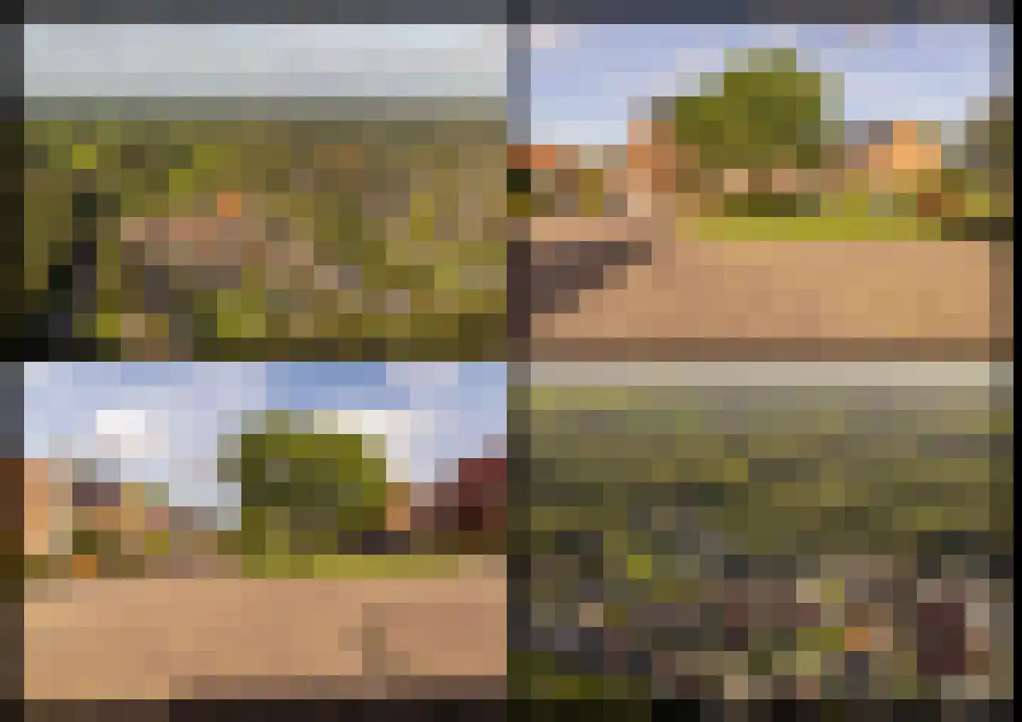 Tripklompen 10 Zuidwolde thumbnail 61