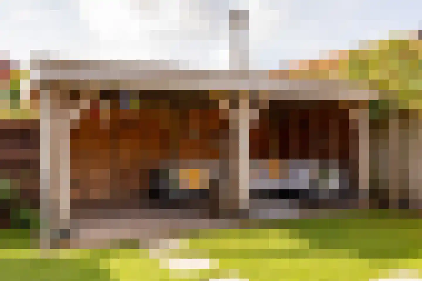 Tripklompen 10 Zuidwolde thumbnail 7