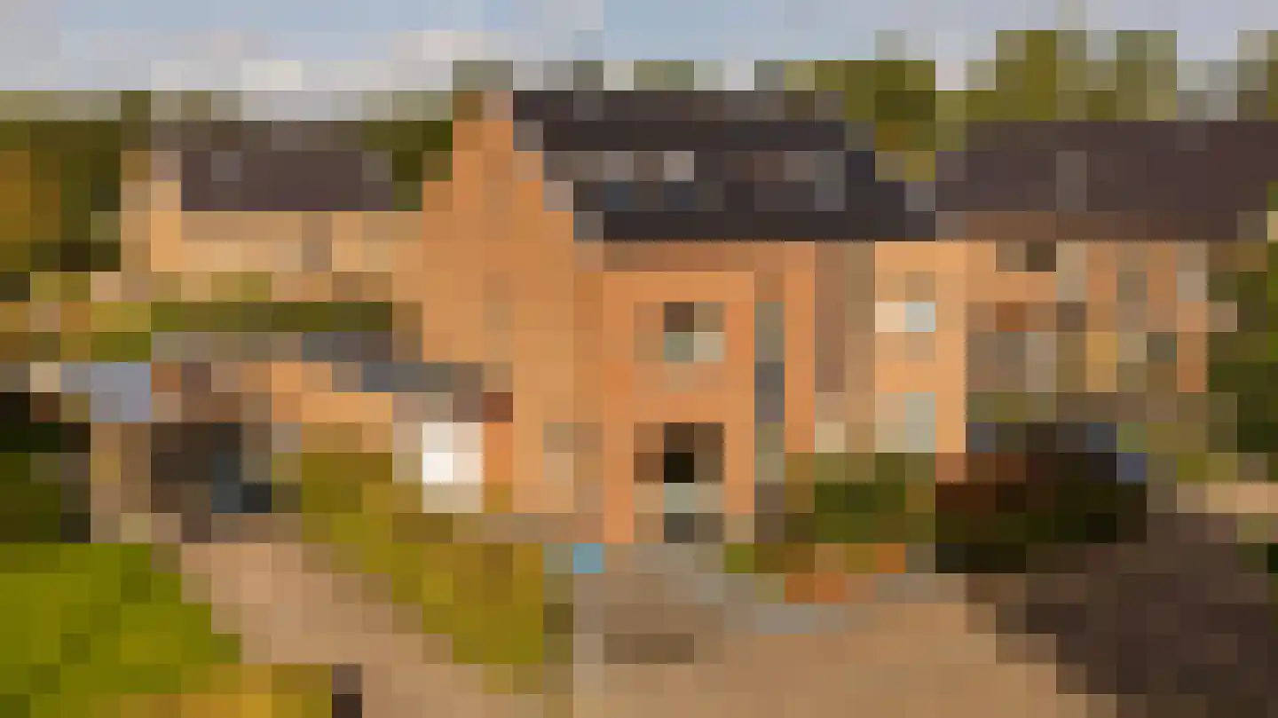 Tripklompen 10 Zuidwolde thumbnail 8