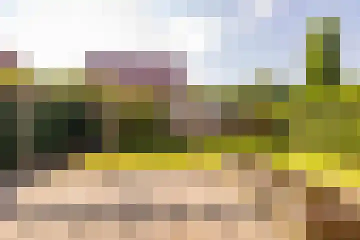 Tripklompen 12 Zuidwolde thumbnail 39