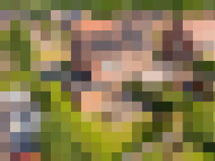 Tripklompen 12 Zuidwolde thumbnail 4