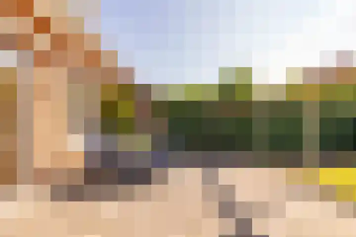Tripklompen 12 Zuidwolde thumbnail 40