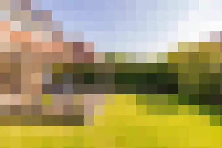 Tripklompen 12 Zuidwolde thumbnail 41
