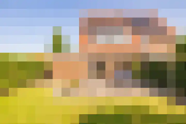 Tripklompen 12 Zuidwolde thumbnail 43