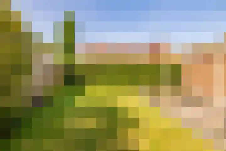 Tripklompen 12 Zuidwolde thumbnail 44