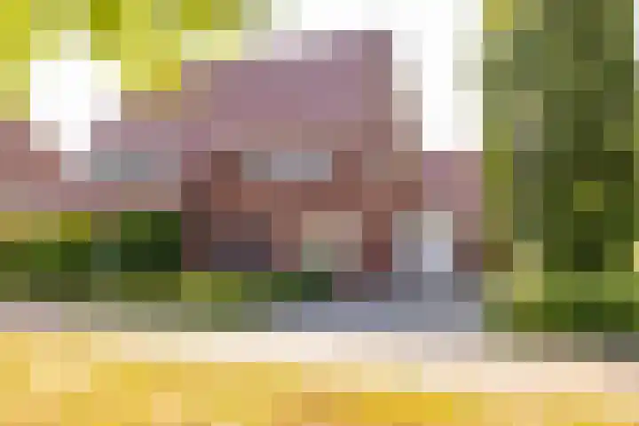 Tripklompen 12 Zuidwolde thumbnail 46