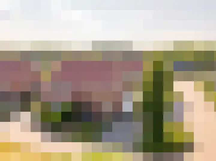 Tripklompen 12 Zuidwolde thumbnail 48
