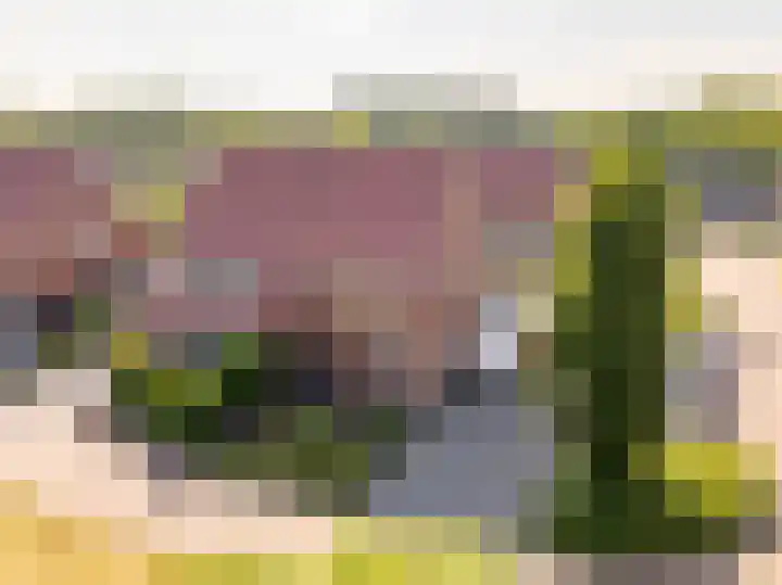 Tripklompen 12 Zuidwolde thumbnail 5