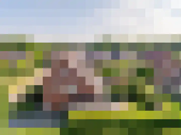 Tripklompen 12 Zuidwolde thumbnail 50