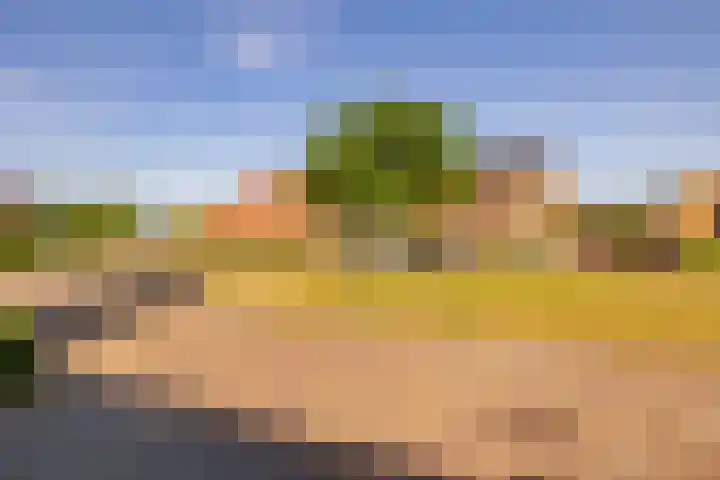 Tripklompen 12 Zuidwolde thumbnail 51