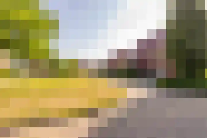 Tripklompen 12 Zuidwolde thumbnail 52