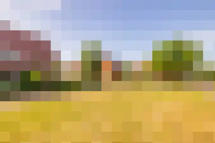 Tripklompen 12 Zuidwolde thumbnail 53