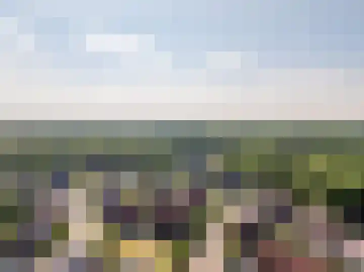 Tripklompen 12 Zuidwolde thumbnail 54