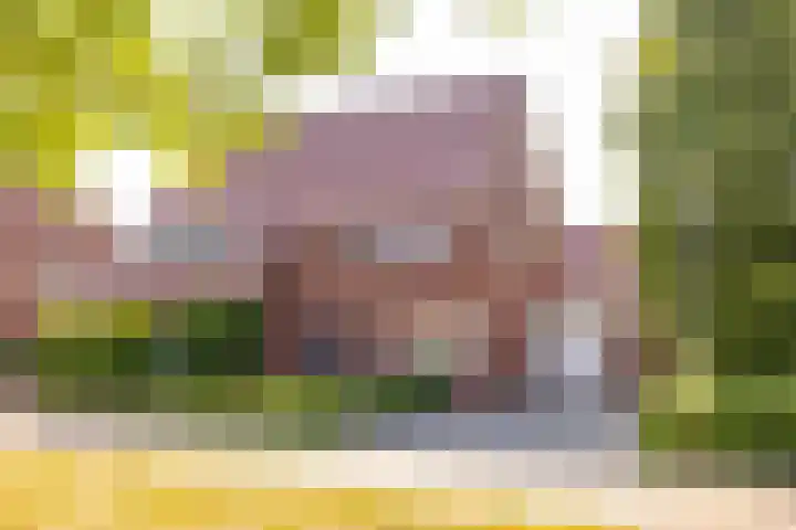 Tripklompen 12 Zuidwolde thumbnail 55