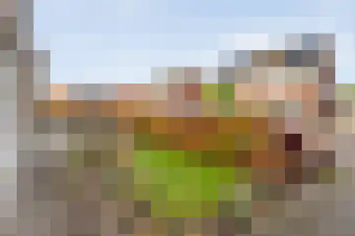 Tripklompen 22 Zuidwolde thumbnail 10