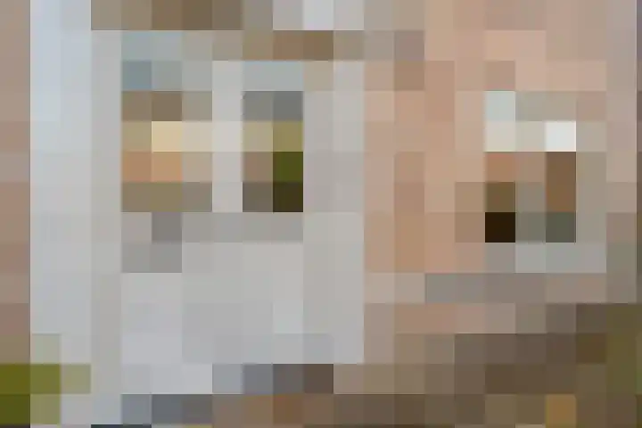 Tripklompen 22 Zuidwolde thumbnail 12