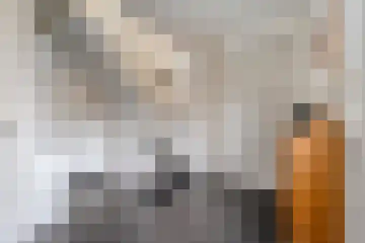 Tripklompen 22 Zuidwolde thumbnail 14