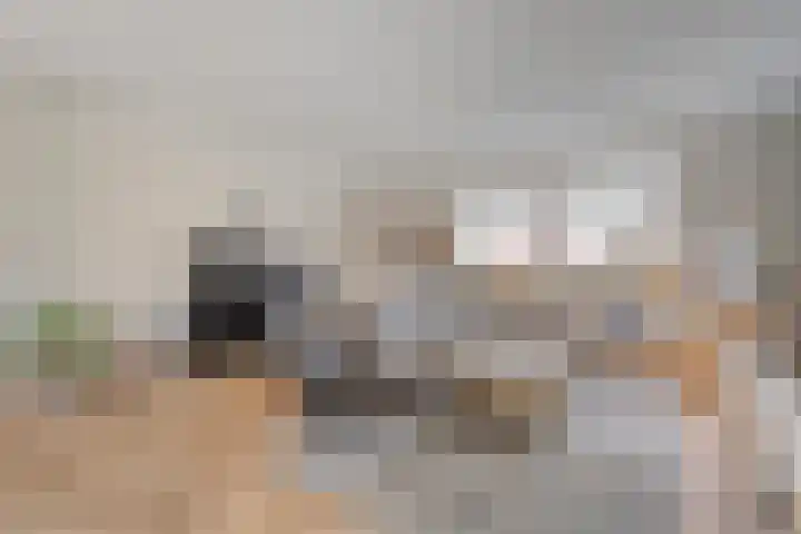 Tripklompen 22 Zuidwolde thumbnail 18