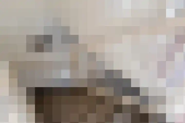 Tripklompen 22 Zuidwolde thumbnail 38