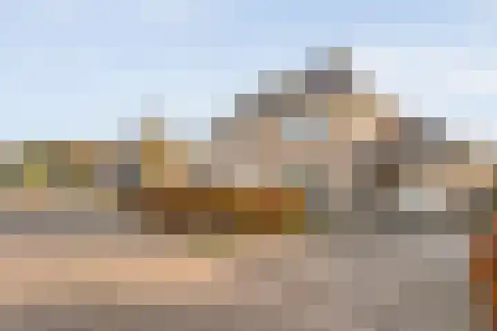 Tripklompen 22 Zuidwolde thumbnail 5