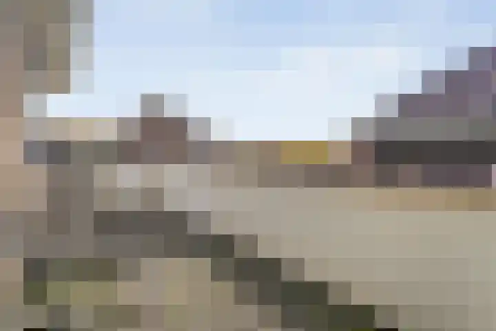Tripklompen 22 Zuidwolde thumbnail 52