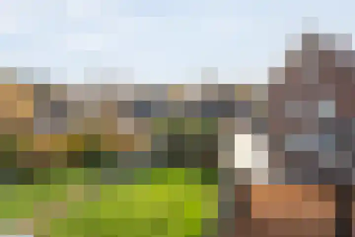 Tripklompen 22 Zuidwolde thumbnail 54