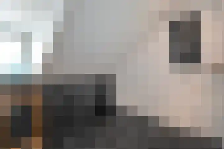 Tripklompen 22 Zuidwolde thumbnail 68