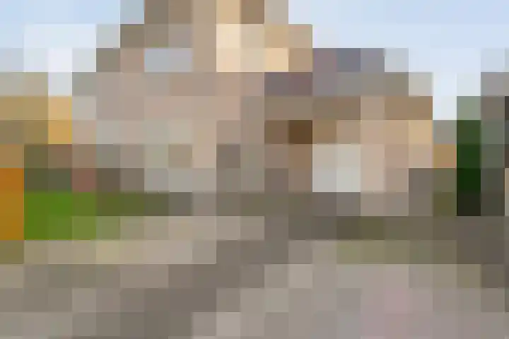 Tripklompen 22 Zuidwolde thumbnail 7