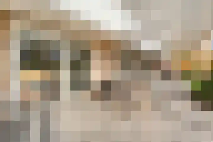 Tripklompen 22 Zuidwolde thumbnail 72