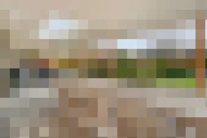 Tripklompen 22 Zuidwolde thumbnail 73