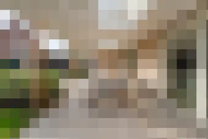 Tripklompen 22 Zuidwolde thumbnail 75