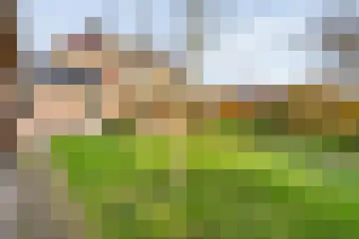 Tripklompen 22 Zuidwolde thumbnail 76
