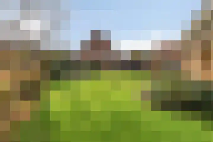 Tripklompen 22 Zuidwolde thumbnail 77