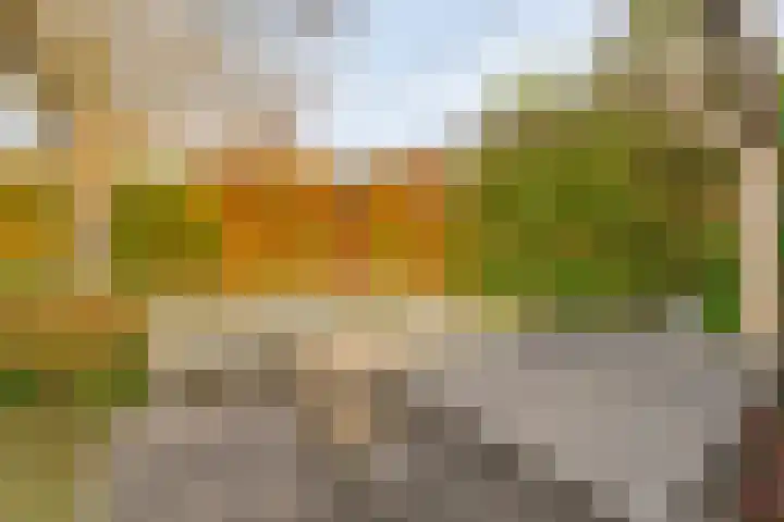 Tripklompen 22 Zuidwolde thumbnail 78