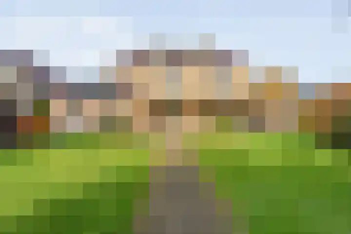 Tripklompen 22 Zuidwolde thumbnail 79