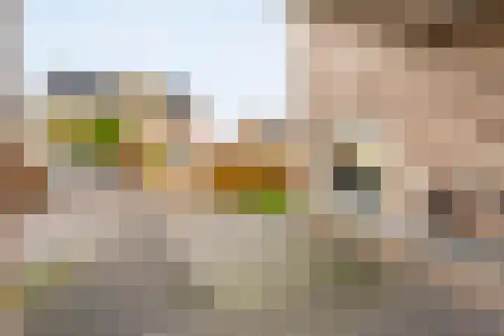 Tripklompen 22 Zuidwolde thumbnail 8