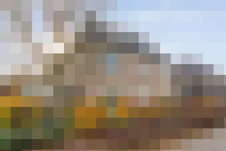 Tripklompen 22 Zuidwolde thumbnail 81