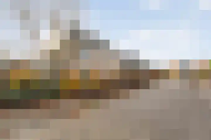 Tripklompen 22 Zuidwolde thumbnail 82