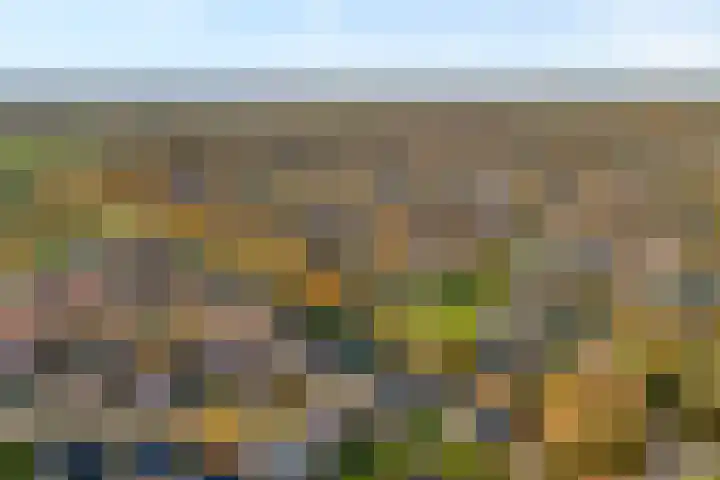 Tripklompen 22 Zuidwolde thumbnail 83