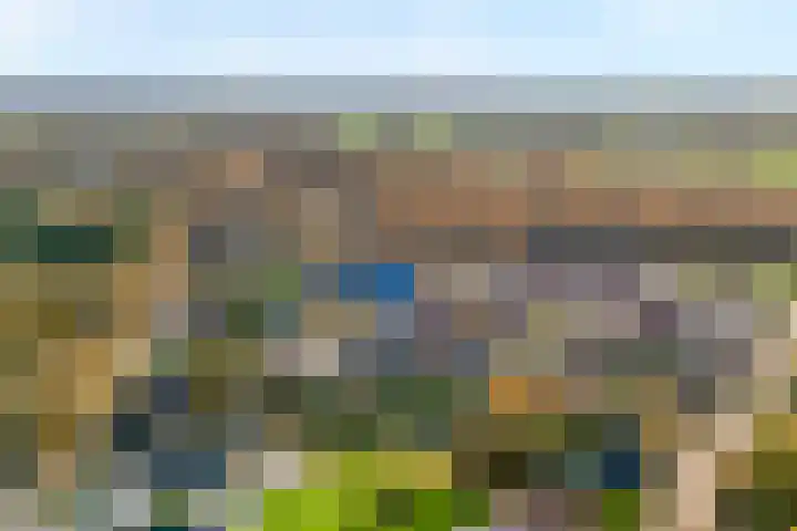 Tripklompen 22 Zuidwolde thumbnail 84