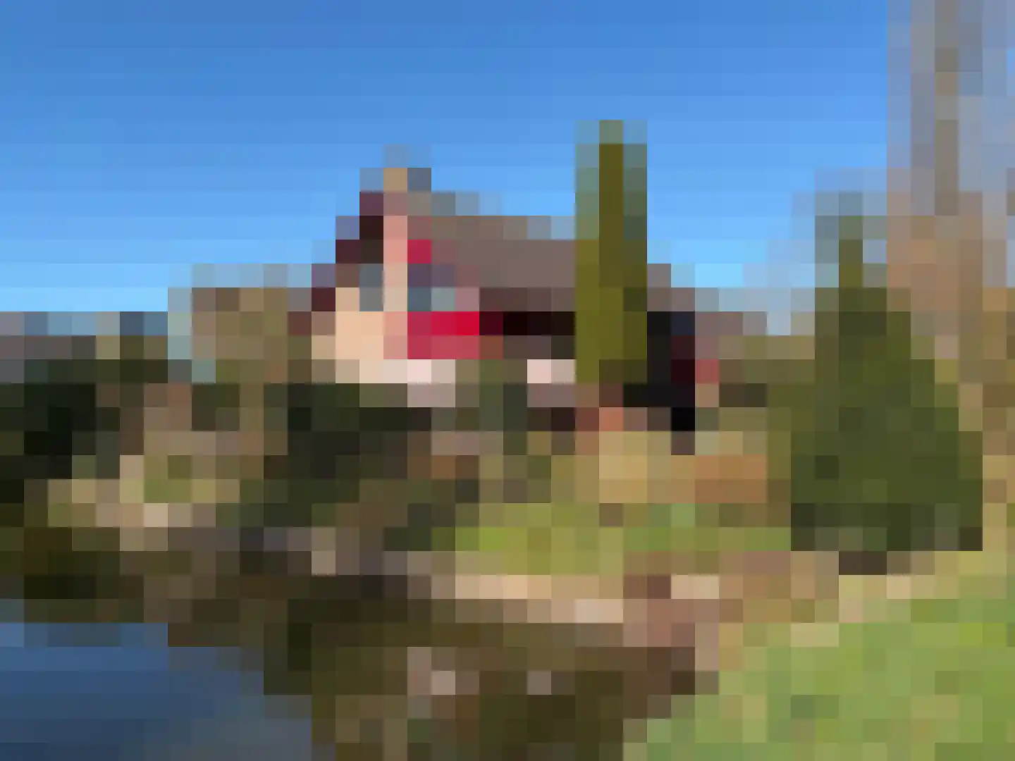 Tripkouw 1 Midwoud