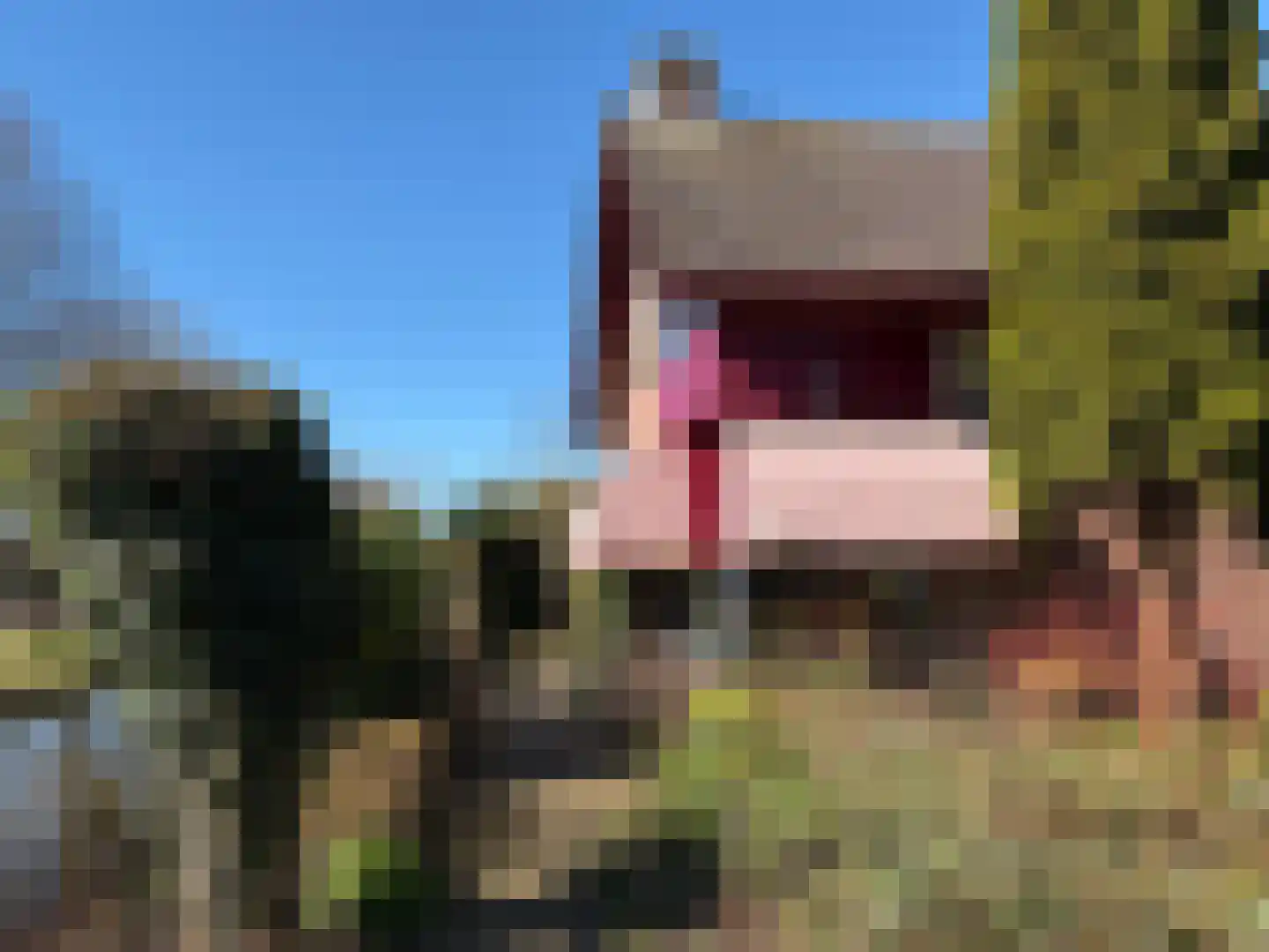 Tripkouw 1 Midwoud thumbnail 22